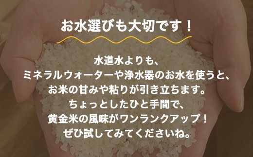 大江の黄金米 コシヒカリ10kg（5kg×2） ｜ 射水市 西尾農業 黄金米 射水の美味しいお米 精米 ※離島への配送不可