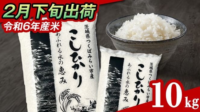 【 2月下旬発送 / 数量限定 】新米 茨城県産 コシヒカリ 精米 10kg (5kg×2袋） 令和6年産 こしひかり 米 コメ こめ 単一米 限定 茨城県産 国産 美味しい お米 おこめ おコメ [CL34-NT]