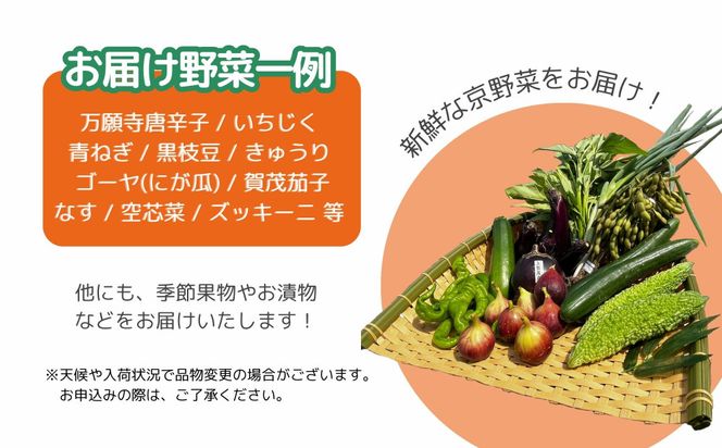 【エーコープ京都中央】おまかせ京野菜セット［ 京都 野菜 新鮮 人気 おすすめ 美味しい 旬の野菜 上賀茂野菜 スタッフ厳選 詰め合わせ お取り寄せ 通販 送料無料 ふるさと納税 ］ 261009_B-WB08