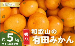 【1月発送】秀品 有田みかん 和歌山県産  S～Lサイズ 大きさお任せ 5kg / みかん フルーツ 果物 くだもの 有田みかん 蜜柑 柑橘【ktn002-1】