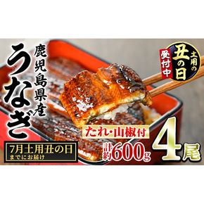 【0204348a-2607】＜土用の丑の日までにお届け＞東串良町のうなぎ蒲焼(無頭)(4尾・計約600g・タレ、山椒付) うなぎ 高級 ウナギ 鰻 国産 蒲焼 蒲焼き たれ 鹿児島 ふるさと 人気 丑の日 【アクアおおすみ】