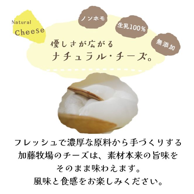 【国内コンテスト最優秀賞受賞！】ナチュラルチーズセット （カマンベールチーズ モッツァレラチーズ さけるチーズ チーズ 詰め合わせ 人気）