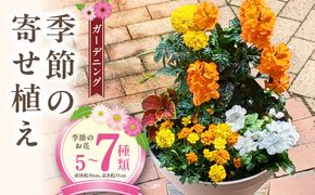 ガーデニング　季節の寄せ植え［142F01］