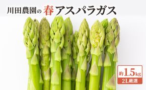 先行予約 岩木山高原 アスパラガス 約1.5kg 2L厳選 5月6月発送 アスパラ 野菜 旬の野菜 産地直送 季節の野菜 春野菜 青森 青森県 鰺ヶ沢町