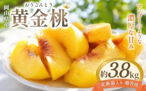 先行予約 岡山県産 黄金桃 3.8kg 化粧箱入り・贈答用 高級 おうごんとう 花田青果【2026年9月初旬～9月中旬まで順次発送予定】/ 桃 もも モモ 果物フルーツ 贈答品 贈り物 岡山県【hnds010】