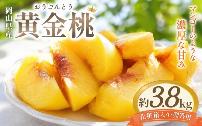 先行予約 岡山県産 黄金桃 3.8kg 化粧箱入り・贈答用 高級 おうごんとう 花田青果【2026年9月初旬～9月中旬まで順次発送予定】/ 桃 もも モモ 果物フルーツ 贈答品 贈り物 岡山県【hnds010】