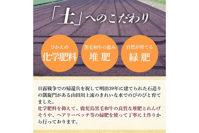 《選べる精米・容量・配送》姶良市産 あきの舞！ 白米 or 玄米(2kg・5kg・定期便)【アグリベースAIRA】姶良市 米 お米 白米 玄米 精米 あきの舞 定期便 a1104 a1105