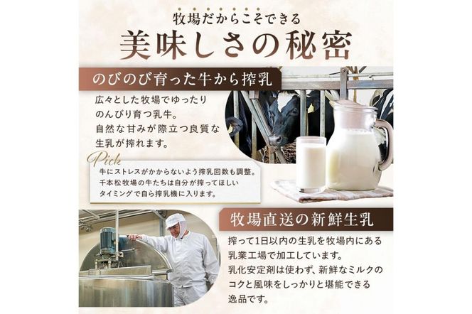 ns025-011-19 生乳の味を極めた特撰アイス19個セット 【千本松牧場】