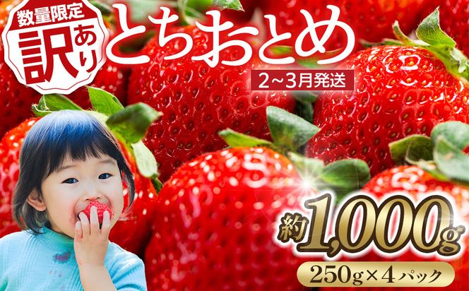 【訳あり・数量限定】とちおとめ　いちご　約1kg（約250g×4パック）＜2～3月発送＞ 232238_DU002