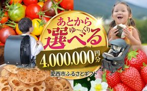 【あとから選べる】 愛知県愛西市ふるさとギフト 400万円分 日本酒 スイーツ シャンプー あとから ギフト[AECY021]