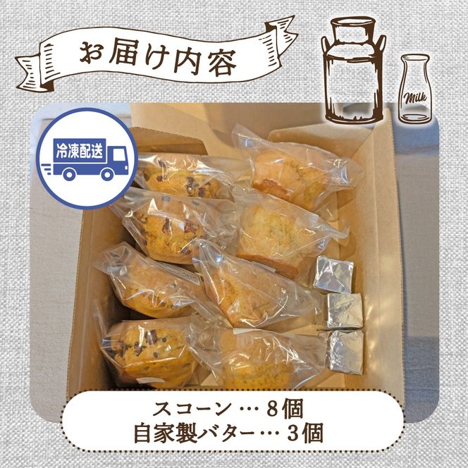 【自家牧場ジャージー牛乳】自家製バターとスコーンセット（ スコーン 自家製バター 新鮮 ジャージー牛乳 手作り バター 焼き菓子 セット）