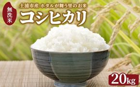 令和7年産 土浦市産 コシヒカリ 無洗米20kg（5kg×4） ホタルが舞う里のお米 ※離島への配送不可 ※2025年12月下旬～2026年2月下旬頃に順次発送予定