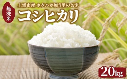 令和7年産 土浦市産 コシヒカリ 無洗米20kg（5kg×4） ホタルが舞う里のお米 ※離島への配送不可 ※2025年12月下旬～2026年2月下旬頃に順次発送予定