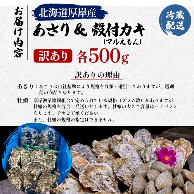 訳あり 北海道 厚岸産 砂抜き済み あさり & 殻付き 牡蠣  各500g 【光輝】 [ 魚貝類 海鮮 海の幸 みそ汁 酒蒸し アサリバタ 産地直送 生食用牡蠣 生食用 牡蠣 カキ ］