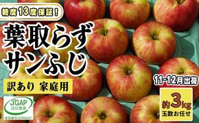 11～12月発送【 糖度保証 】家庭用 葉取らず サンふじ 約 3kg【 訳あり 】鶴翔りんごGAP部会 青森県産 津軽産 リンゴ 林檎 果物 フルーツ デザート 甘味 酸味 食感
