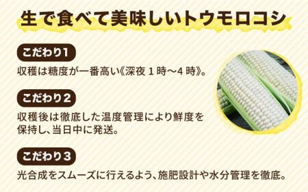 【 先行予約：2024年7月以降順次発送 】 糸島 トウモロコシ 『もきっこ』 白 （ 8～10本 ） 《糸島》 【内田農業】 [AZH002]