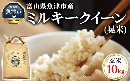 【令和6年度米】環境配慮「魚津のミルキークイーン（晃米）」10kg（玄米） ｜新米 MK農産 玄米 銘柄米 ブランド米 ご飯 おにぎり お弁当 和食 主食 国産 産地直送 甘み 香り もちもち ※2024年10月下旬頃より順次発送予定 ※北海道・沖縄・離島への配送不可