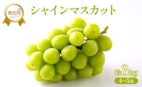 ぶどう 2026年 先行受付 贈答用 シャインマスカット 約3kg (4～5房) フルーツ 果物 岡山 赤磐市