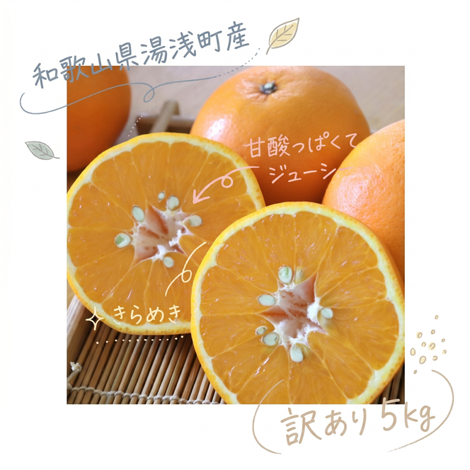 【2027年先行予約】《訳あり 家庭用》セミノール 約5kg（S～2Lサイズ混合）_EQ6010