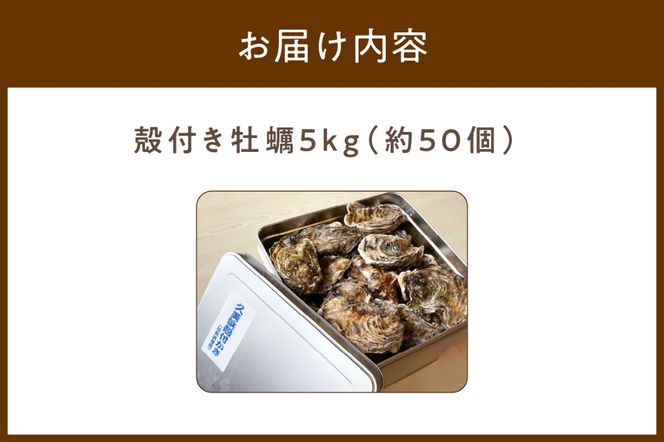 京都・京丹後産牡蠣5kg（約50個）　AH00009