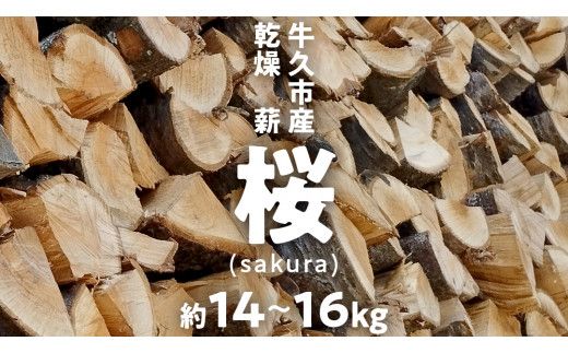 牛久市産 乾燥 薪 桜 ( さくら ) 約14kg～16kg 天然木 マキ 乾燥薪 広葉樹 キャンプ アウトドア 焚火 焚き火 薪ストーブ 暖炉 たき火 野外 屋外 バーベキュー薪 ピザ窯の薪 グリル焼 [DP010us]