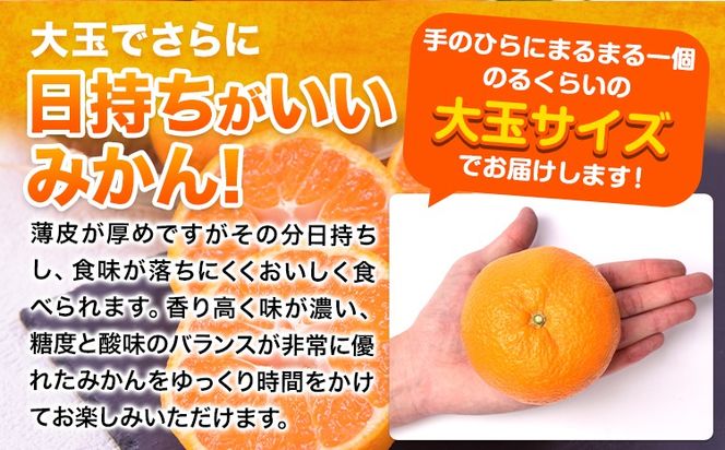 【新登場！】訳あり 熊本 大粒みかん 約4kg 約8kg (3L～5Lサイズ) みかん 先行予約 ご家庭用 たっぷり 熊本県産 熊本県 期間限定 フルーツ 旬 柑橘 大玉《2025年1月中旬-2月末頃より出荷予定》---gkt_otbmkn_bc1_24_7000_4kg---