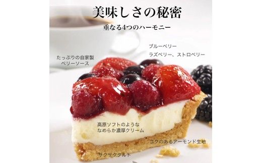 クリスマスケーキ　トリプル ベリー タルト 5号 4-6人分　パティスリー天使のおくりもの ※2026年12月～発送