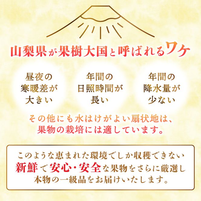 【2027年発送 先行予約】【ミニマム 定期便】厳選 旬のフルーツ定期便　もも シャイン マスカット 黒ブドウ ぶどう 果物 おひとりさま 贅沢 ミニマム 定期便 フルーツ 山梨 富士吉田