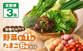 【定期便/3回/毎月お届け】宗像とれたて　野菜とたまごの定期便【オアシス】_HB0081