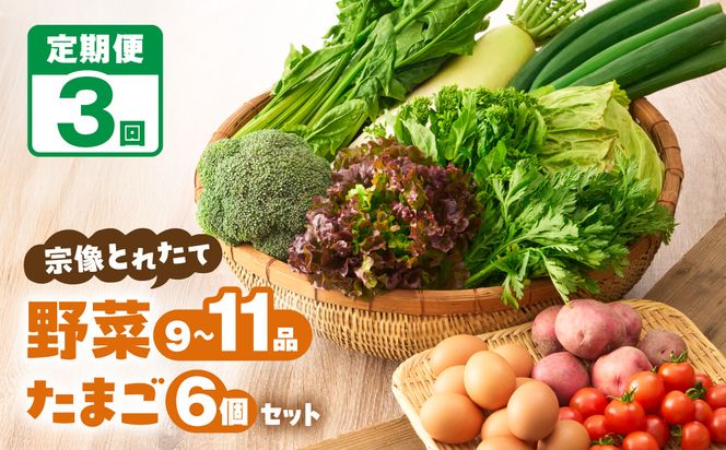 【定期便/3回/毎月お届け】宗像とれたて　野菜とたまごの定期便【オアシス】_HB0081