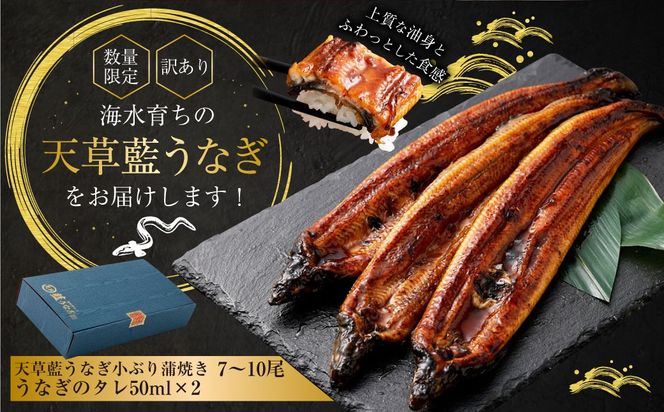 yF{Vszyʌz y󂠂z y~Vt̃vpzC炿 V Ȃ Ԃ  1kgi7`10j  {BԒ  V EiM Ȃ Ȃ V̊ Y