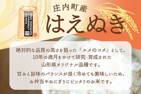 【新米受付】令和8年産 はえぬき 5kg U米MON 5kg×1袋 2026年産 ブランド米 米 国産 単一原料米 山形 庄内平野 コシヒカリの原点、亀の尾発祥の地 庄内【R8.10月以降発送開始/入金期限：2026年9月15日】