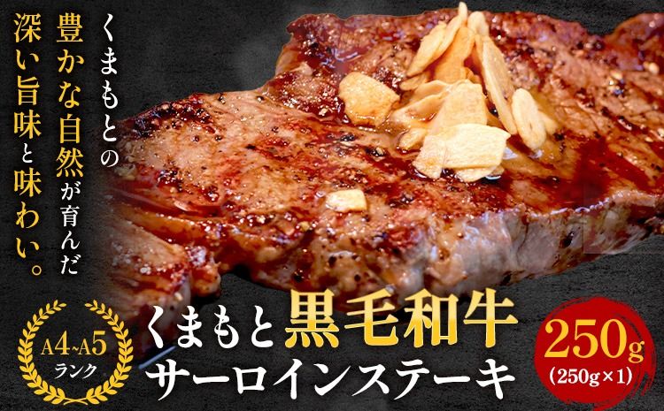[A4〜A5]くまもと黒毛和牛 サーロインステーキ 250g[30日以内に出荷予定(土日祝除く)] 牛肉 くまもと黒毛和牛 黒毛和牛 冷凍庫 サーロイン ステーキ---sn_fespsa_30d_r7_13000_250g--
