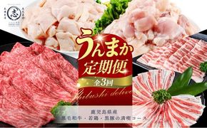 【定期便全3回】鹿児島県産 黒毛和牛・若鶏・黒豚の満喫コース！志布志うんまか定期便 t0046-005