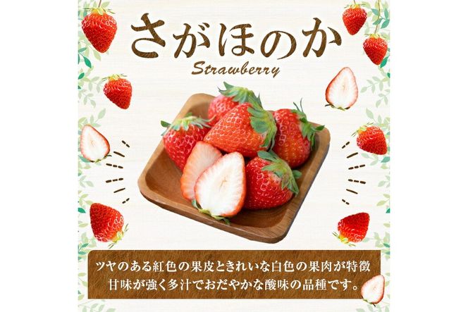 a881 ＜先行予約受付中！2027年2月上旬～3月下旬に発送予定＞ いちご・さがほのか(合計24粒～30粒)【佳農園】国産 鹿児島県産 苺 イチゴ フルーツ 果物 くだもの ギフト 贈答用