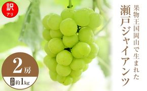 【2026年 先行予約】【訳あり品】瀬戸ジャイアンツ 2房 合計約1kg 常温配送 ぶどう 葡萄 フルーツ 果物 岡山 岡山のぶどう 食後 デザート 産地直送 皮ごと 酸味が少ない 爽やか 甘い 