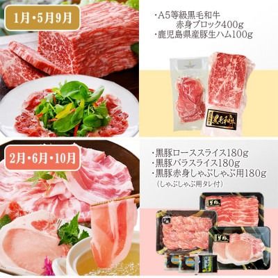 定期便4回配送　肉の定期便 EE-6016 【1491491】