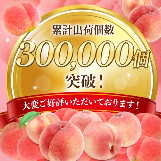 【オンライン決済限定】【2026年8月上旬～発送予定】桃 先行予約 浅間水蜜桃 あかつき 約5kg 秀品 13～22玉 贈答品 フルーツ 果物 白桃 白鳳 甘い 冷蔵