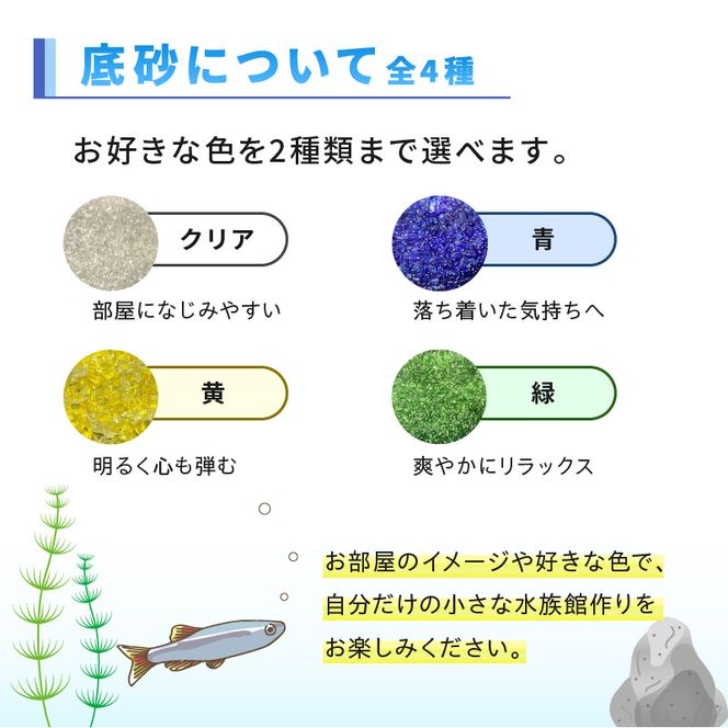 おうちで小さな水族館♪ ボトルアクア キット_BA6002n