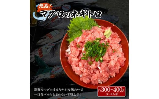 土佐の魚とお酒のおきゃくセット C（ネギトロコース）マグロのネギトロ 約380～400g 3～4人前 まぐろ 鮪 ねぎとろ 魚介 海鮮 純米吟醸生原酒 CEL-24 高知県 土佐市【さかなの森澤マル祐】[BQAM019]