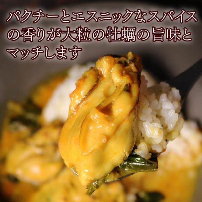 パクチー 香る 牡蠣 の スパイシー カレー 3人前（200ｇ×3袋） 牡蠣カレー オイスター カキ スパイシーカレー 惣菜 カレーライス 牡蠣のカレー パクチーカレー 牡蠣のスパイシーカレー かき かれー エスニック オイスターバーHALFSHELL オイスターバー HALFSHELL 静岡県 藤枝市