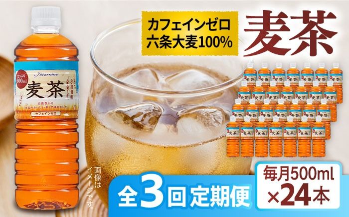 [全3回定期便]麦茶 600ml × 24本 糸島市 / スターナイン お茶 ペットボトル [ARM018] お茶 ペットボトル 500ml 24本 送料無料 麦茶 国産 常温