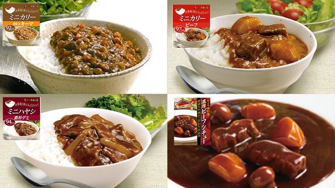 新宿 中村屋 レトルト 食べ比べ セット ( Aセット 12種 ) レトルトカレー カレー レトルト食品 常温 詰め合わせ 時短 レンジ 調理 人気 洋食 ビーフカレー 数量限定 贈答 保存 保存食 ストック 非常用 非常食 老舗 [DM001us]