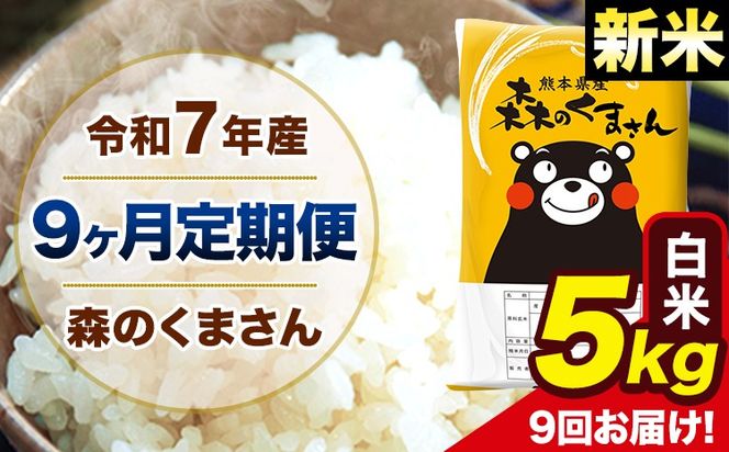 【9ヶ月定期便】新米 令和7年産 森のくまさん 白米 5kg 5kg×1袋 計9回お届け 《お申込み翌月から出荷》 お米 こめ 熊本県産 ご飯 備蓄---mk7tei_112500_5kg_mo9_ng_h---