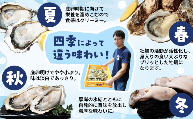 【 2ヵ月 定期便 】牡蠣 北海道 厚岸産 牡蠣むいちゃいました！ 生食用 500g (各回500g×2ヶ月分,合計約1kg)  魚貝類 生牡蠣 マルえもん
