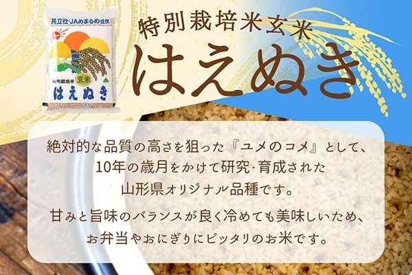 【令和8年産】特別栽培米 玄米 はえぬき 2kg 2kg×1袋 庄内町産 余目産 ブランド米 米 山形 庄内平野 甘み 粘り バランスの良い ごはん