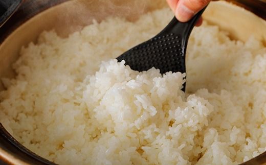 令和7年産 6回 定期便 四万十産 四万十米 コシヒカリ 10kg （5kg×2袋）×6回（計60kg）こしひかり 60kg 令和7年 2025年 精米 白米 米 おこめ こめ コメ ご飯 ごはん ふっくら 四国 高知 四万十 しまんと R7-947