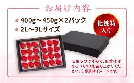 【先行受付】糸島産 紅ほっぺ 800-900g 糸島市 / 平山農園【2026年1月上旬以降順次発送】[AXN001] いちご 苺 イチゴ 紅ほっぺ べにほっぺ フルーツ 果物 旬 期間限定 大粒