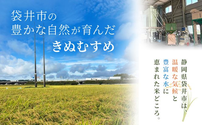 お米 きぬむすめ(特A) 5kg 米 コメ きぬむすめ 精米 白米 ふっくら つやつや 甘み お弁当 おにぎり 袋井市 静岡県