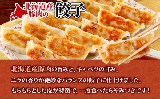【大容量】北海道産豚肉のぎょうざ 120個!冷凍餃子 ギョーザ 国産 焼餃子 点心 滝川市 冷凍食品